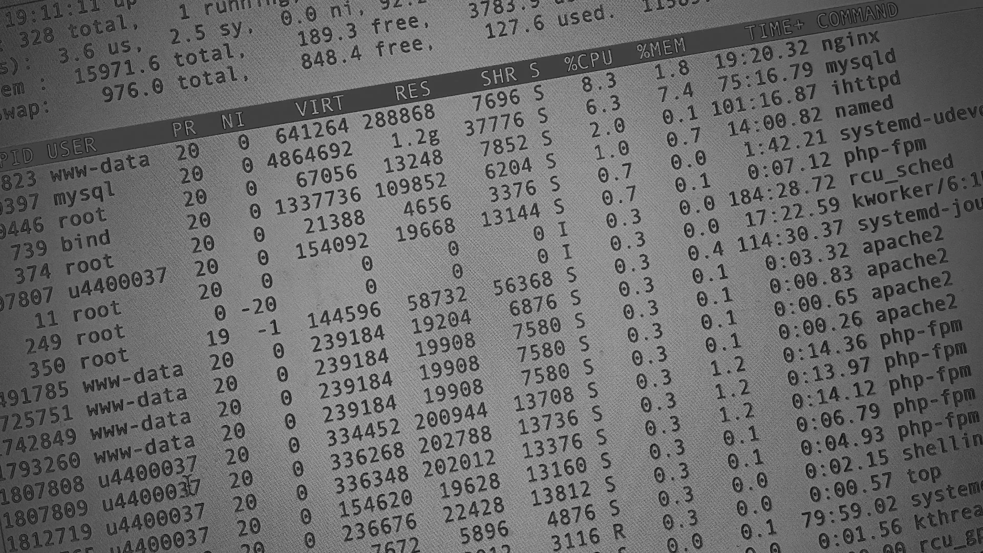 Настройка сервера в Орле